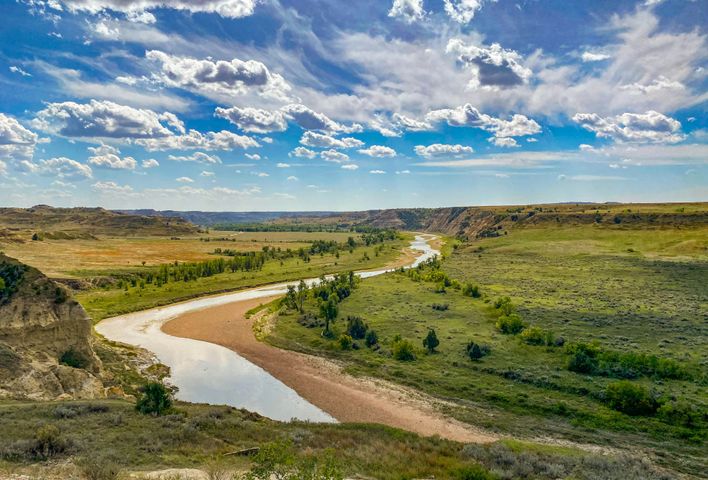 Bird Watching Groups in North Dakota: The Complete Club Directory