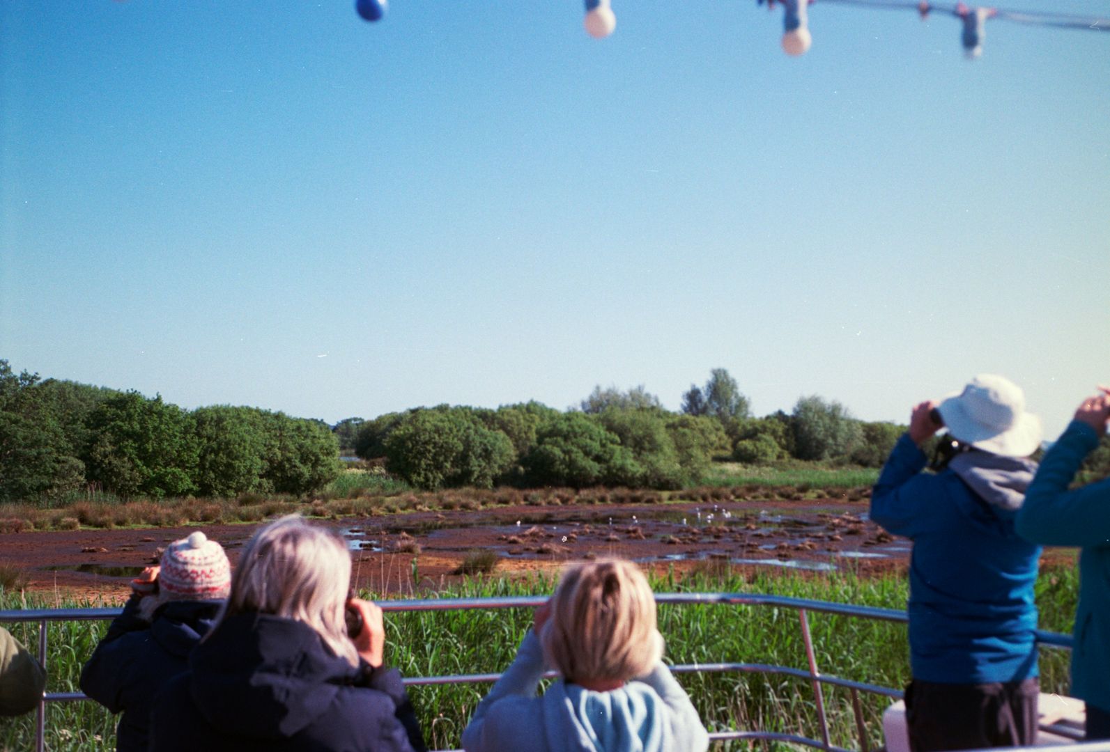 group of people bird watching on a dock