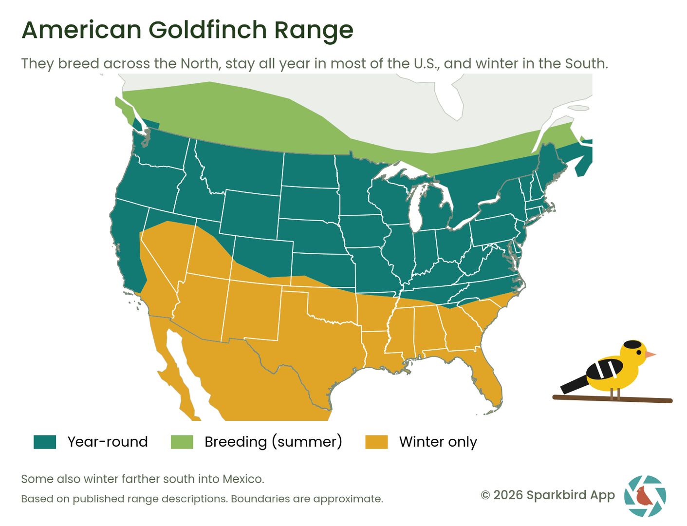 goldfinch migration and residency map