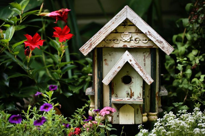 10 Rustic Birdhouses Under $30