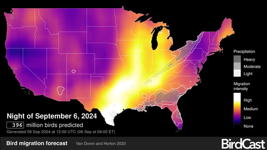 How to Use BirdCast to Predict Big Migration Nights