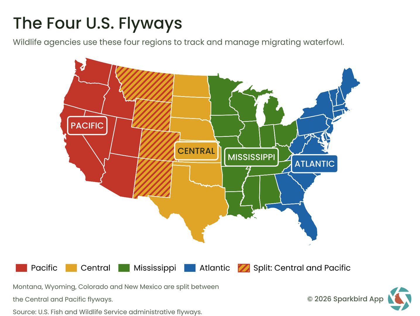 a map of the four U.S. flyways for bird migration