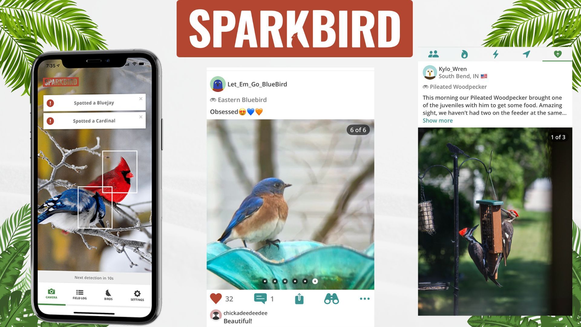 sparkbird app mobile