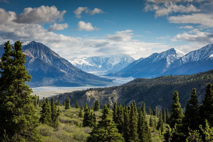 Bird Watching Groups in Montana: The Complete Club Directory