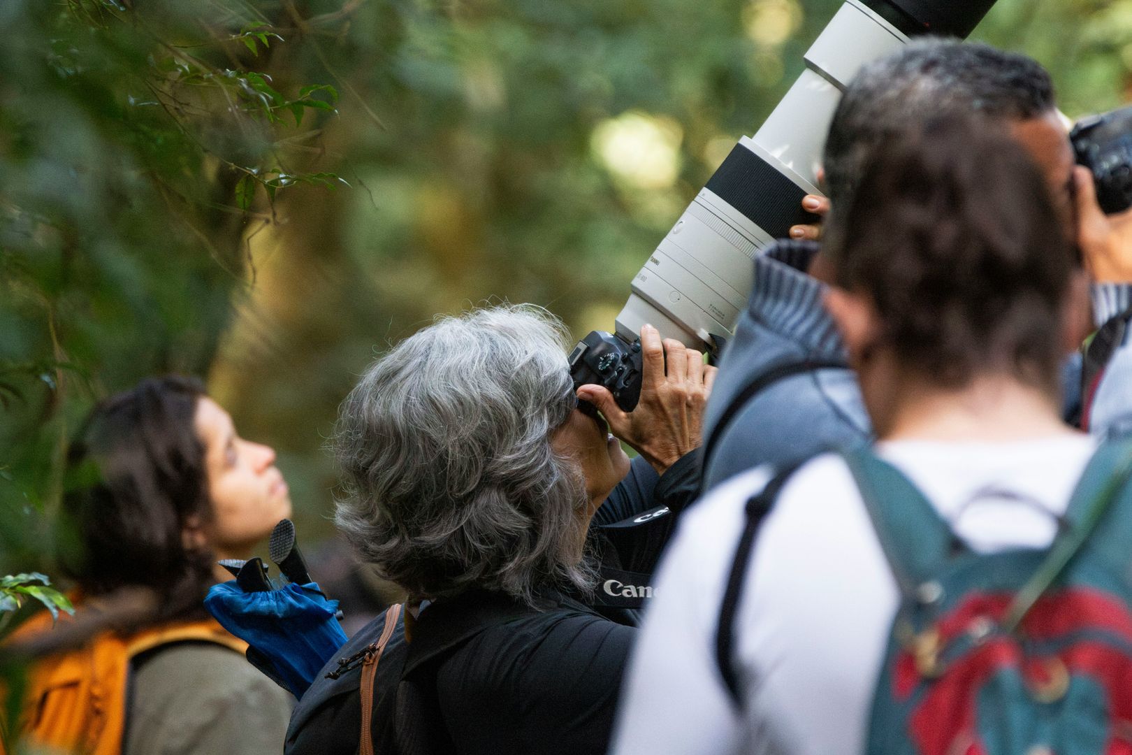 groupd of people bird watching and taking pictures