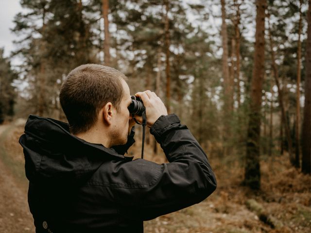 The Best Budget Binoculars for Birding 